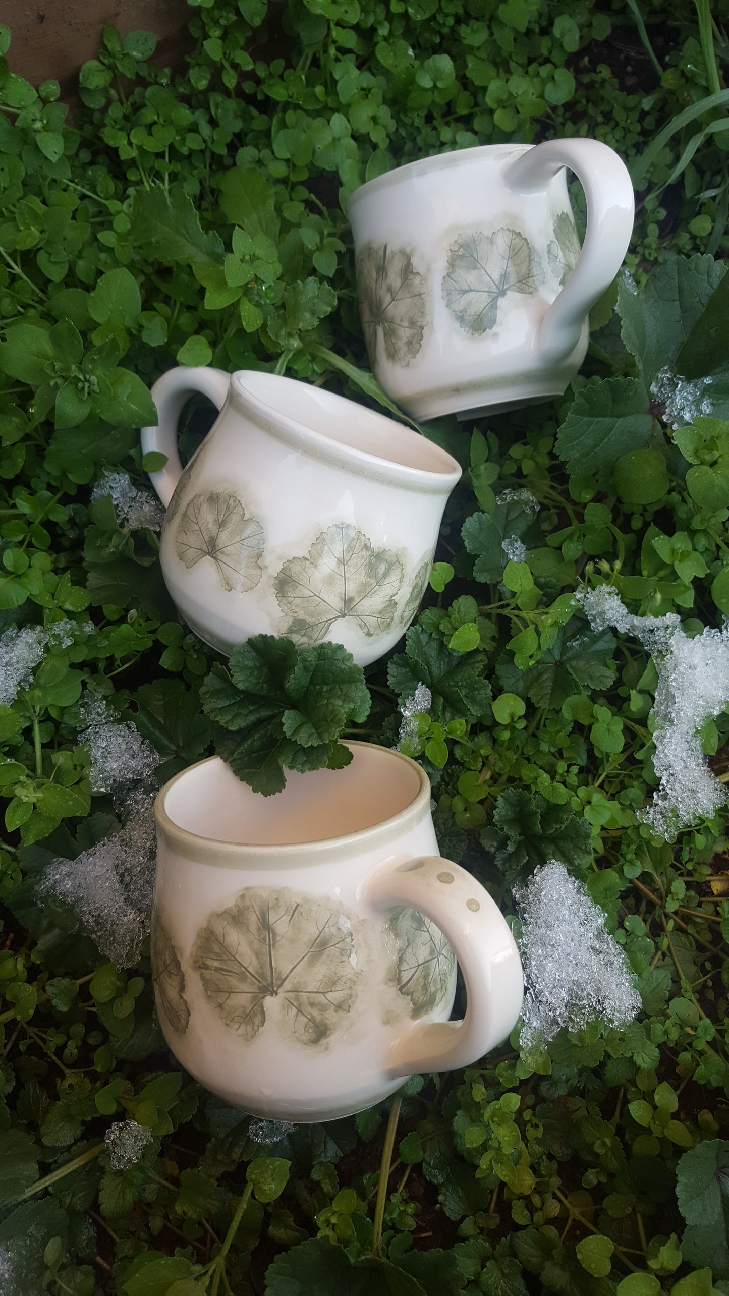 Tea Cup