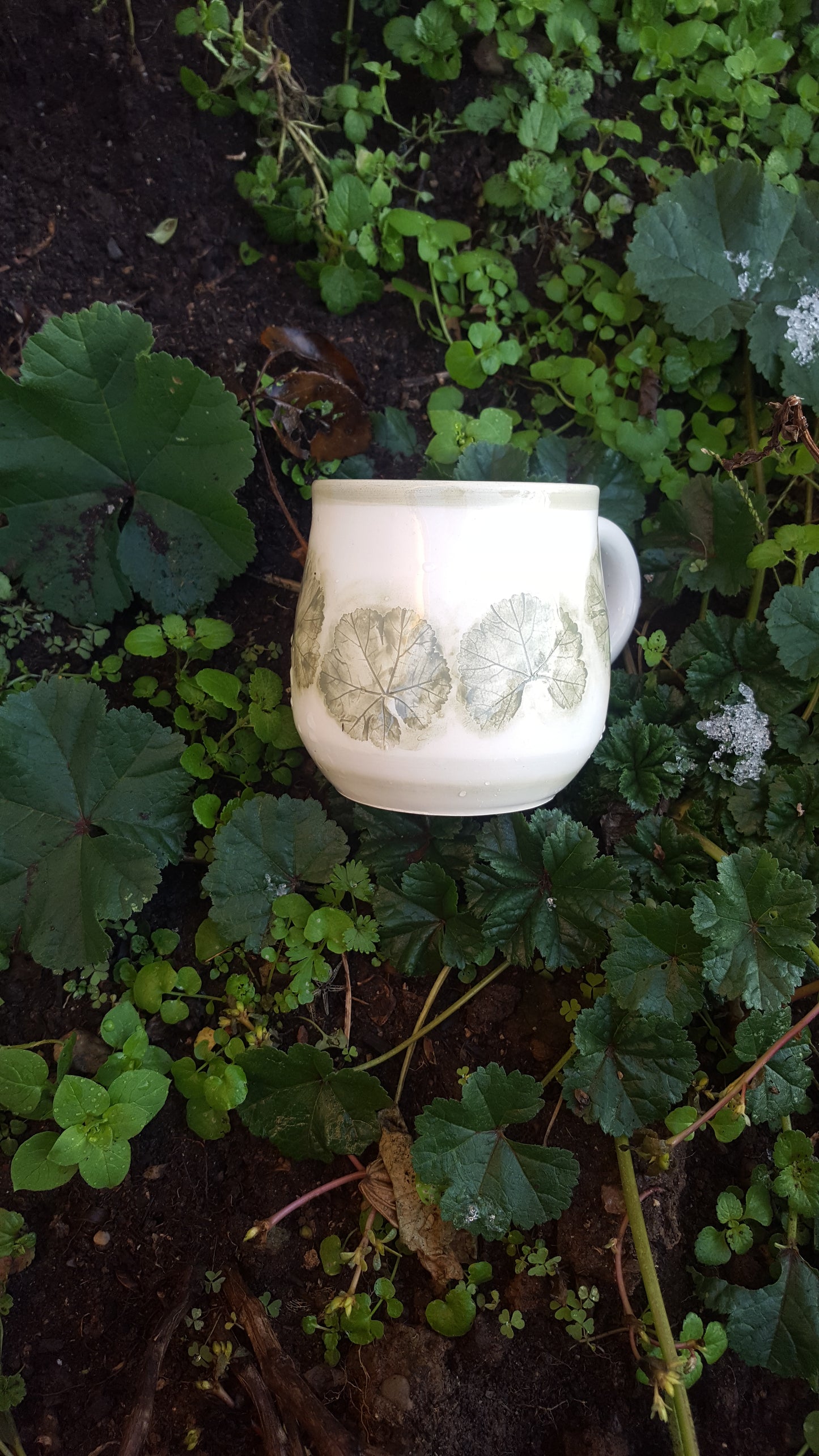 Tea Cup
