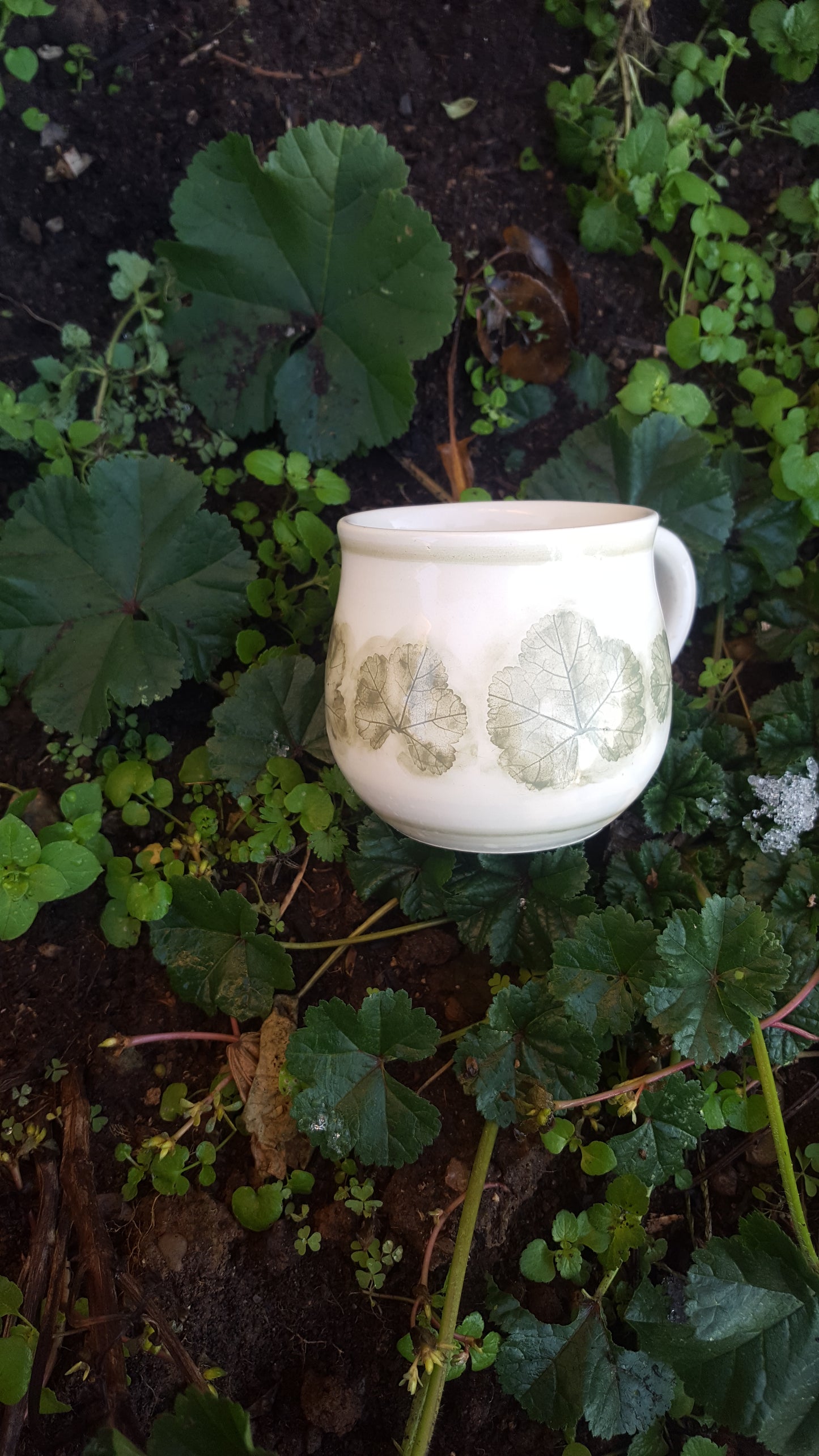 Tea Cup