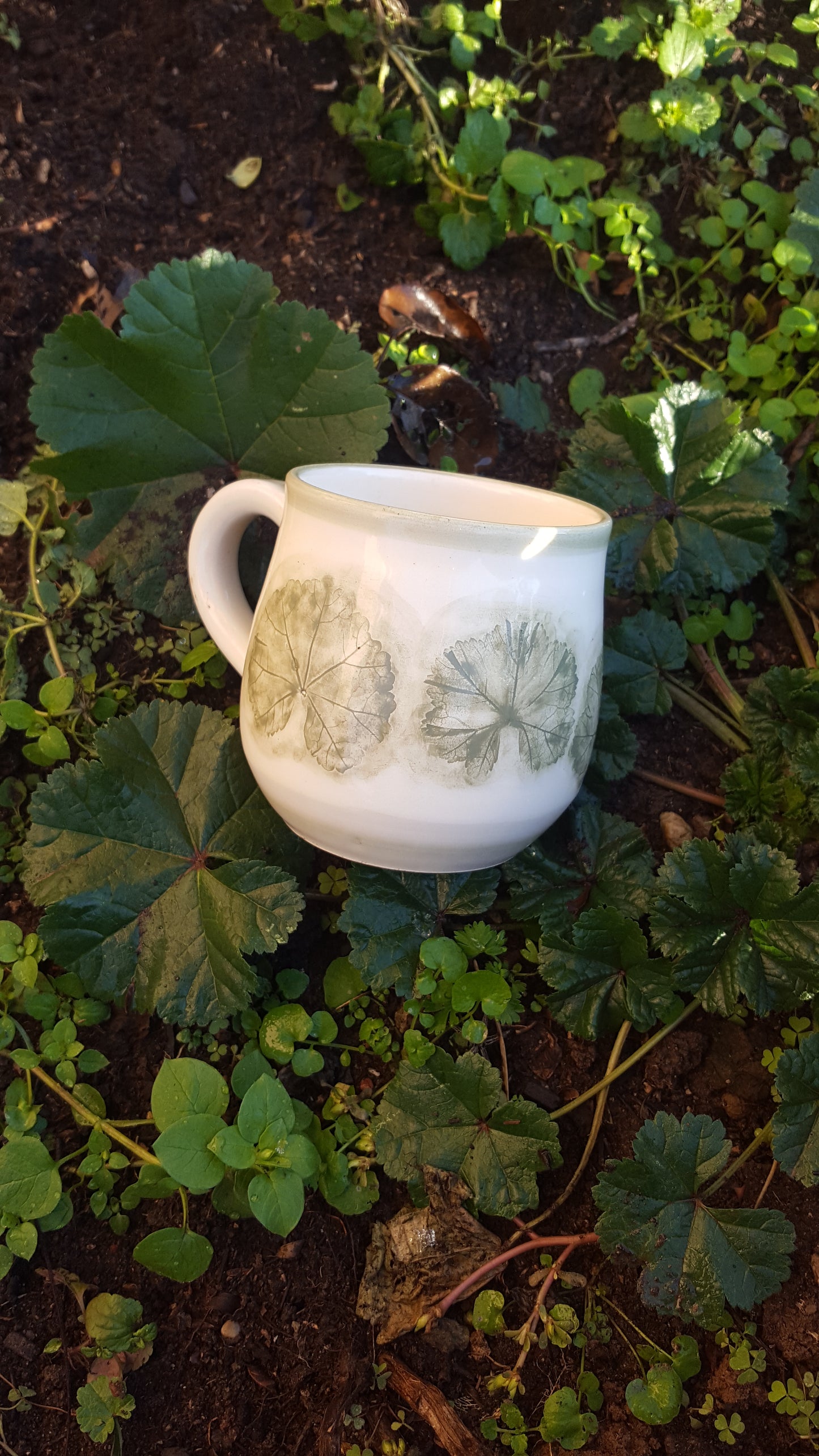 Tea Cup