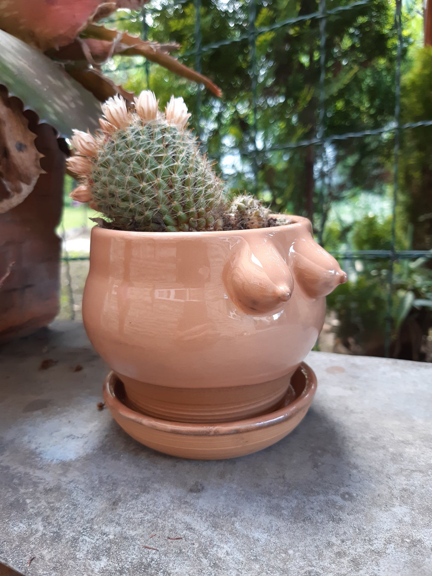 Jar
