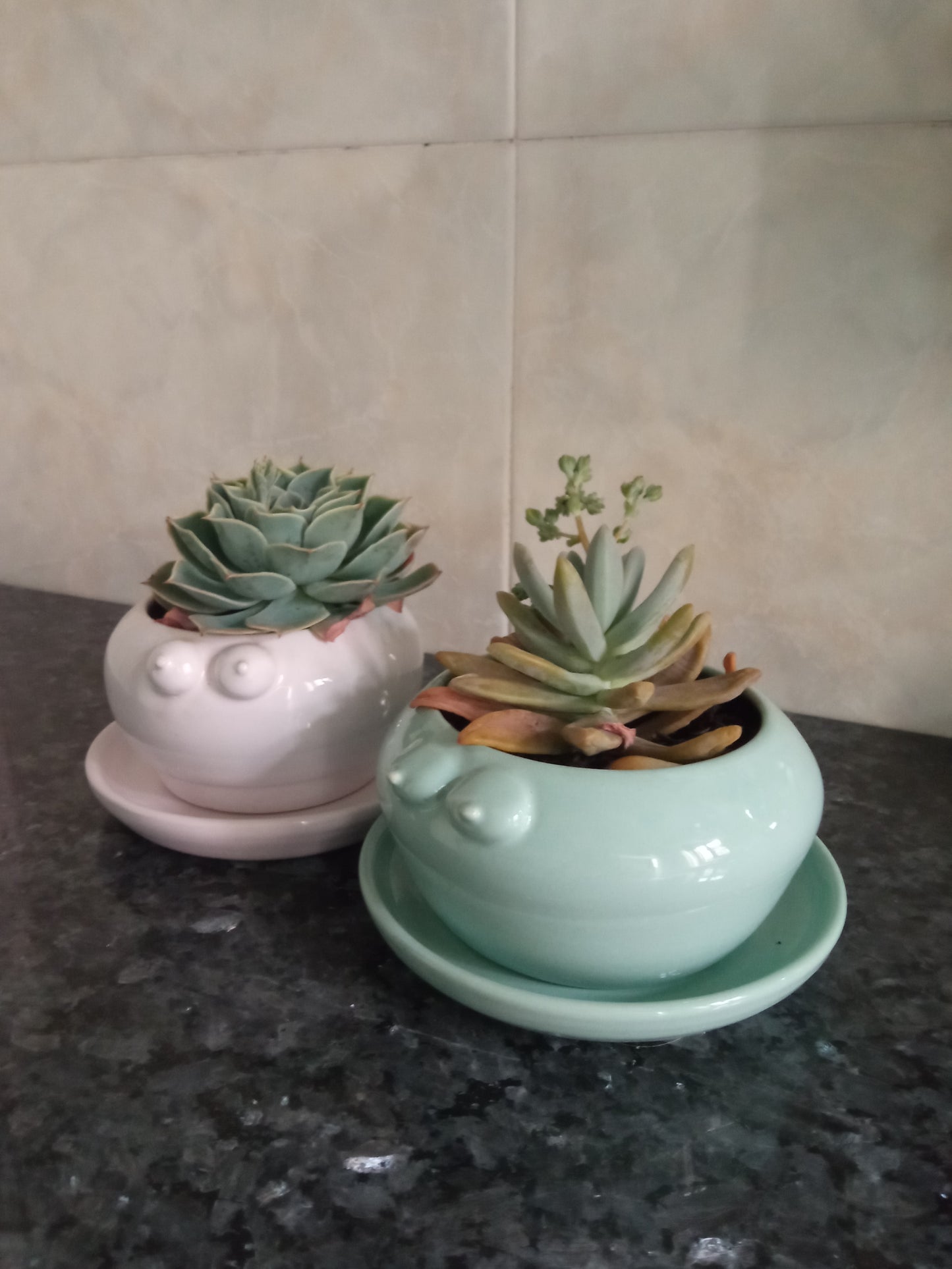 Jar