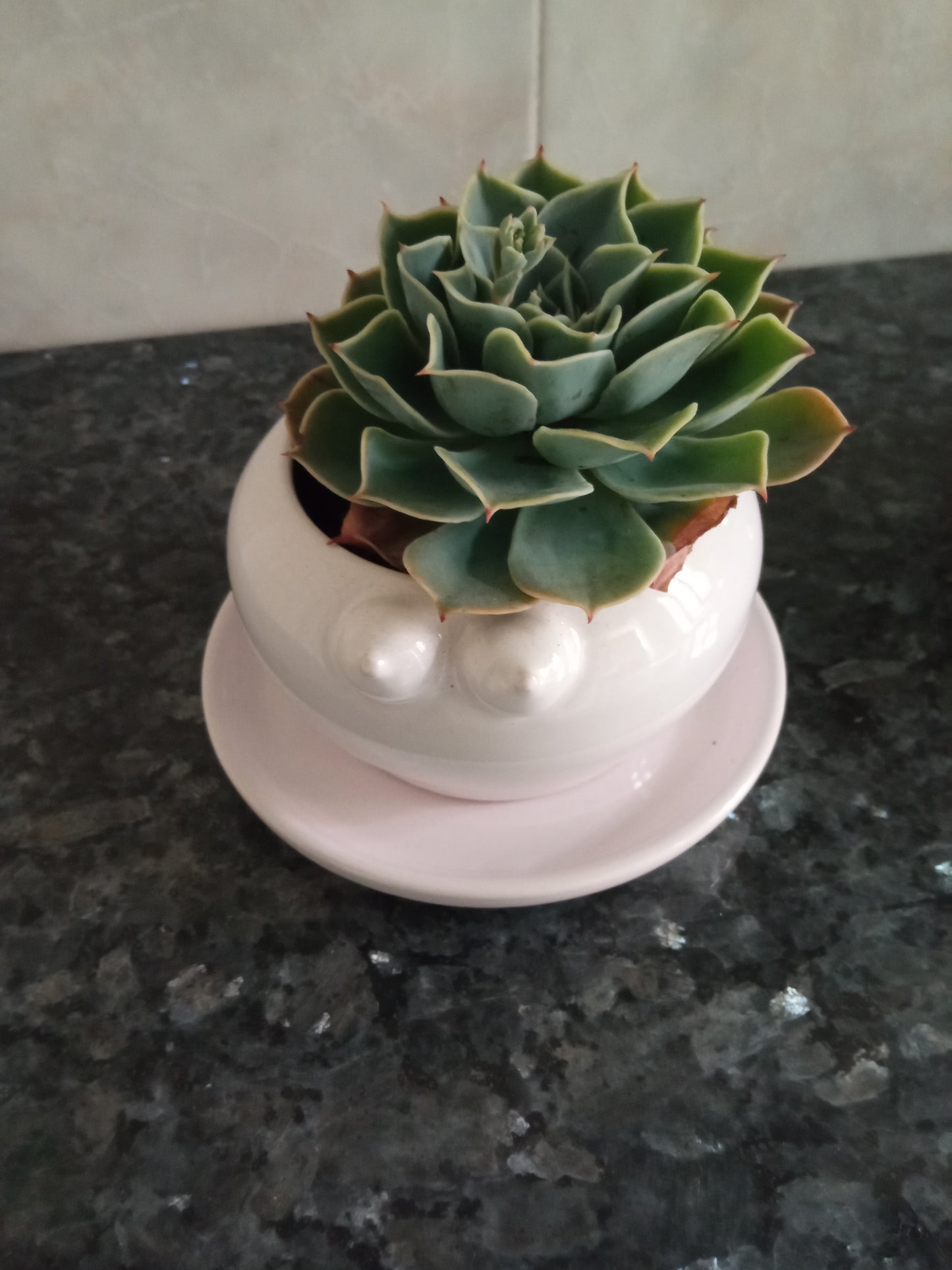 Jar