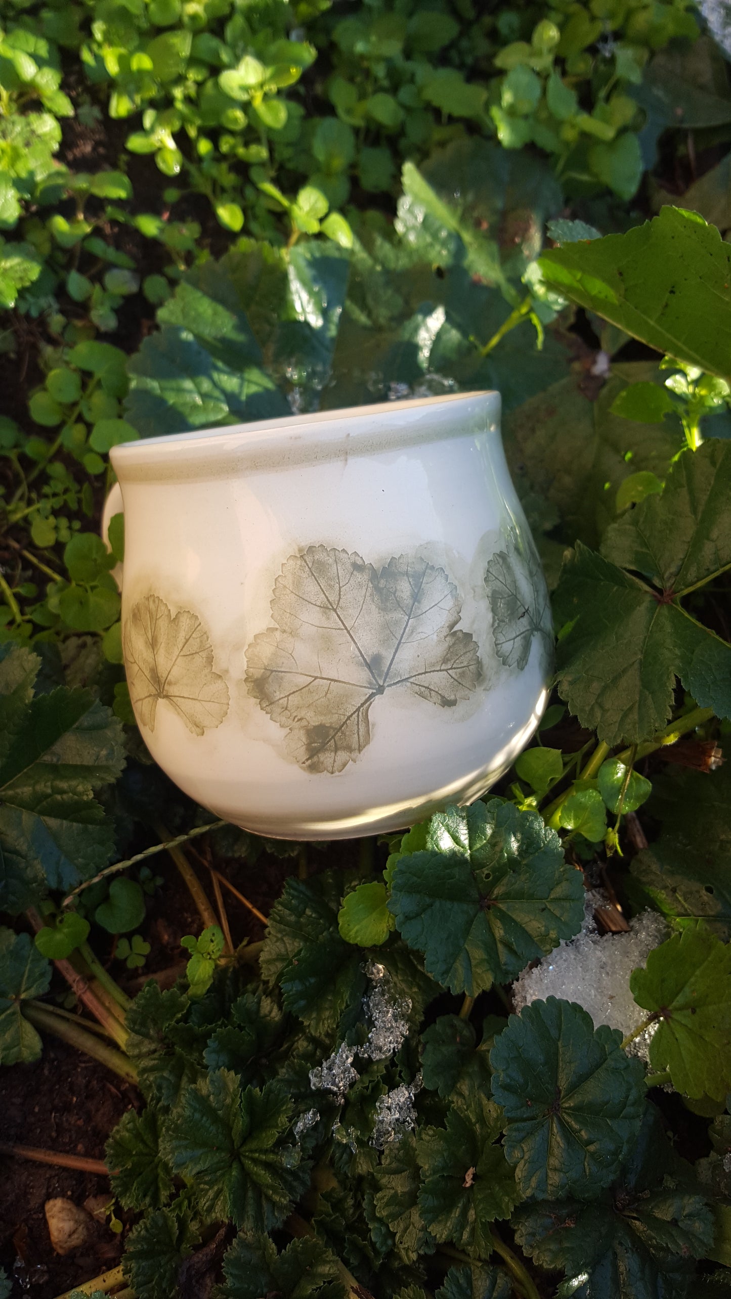 Tea Cup
