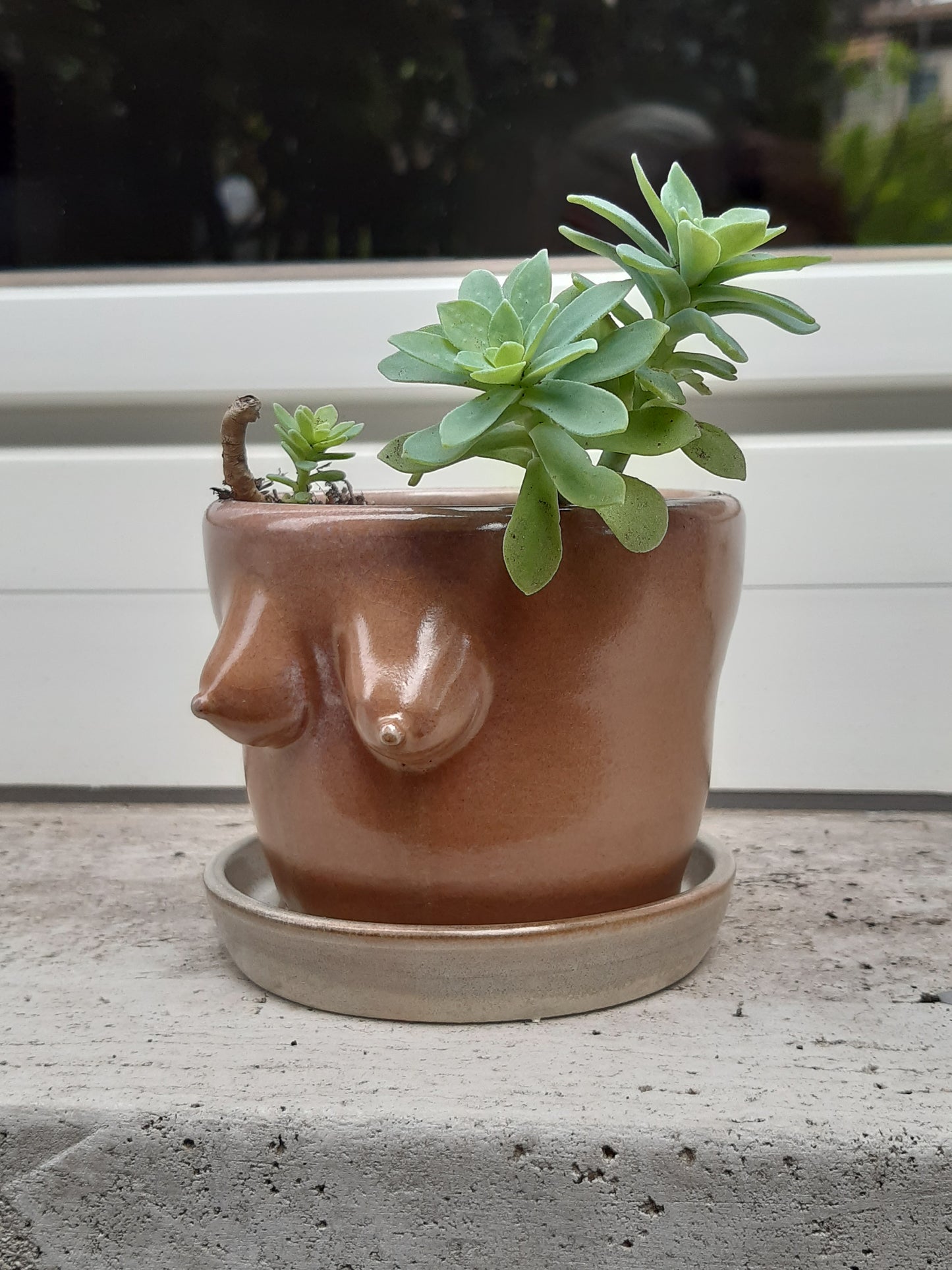 Jar