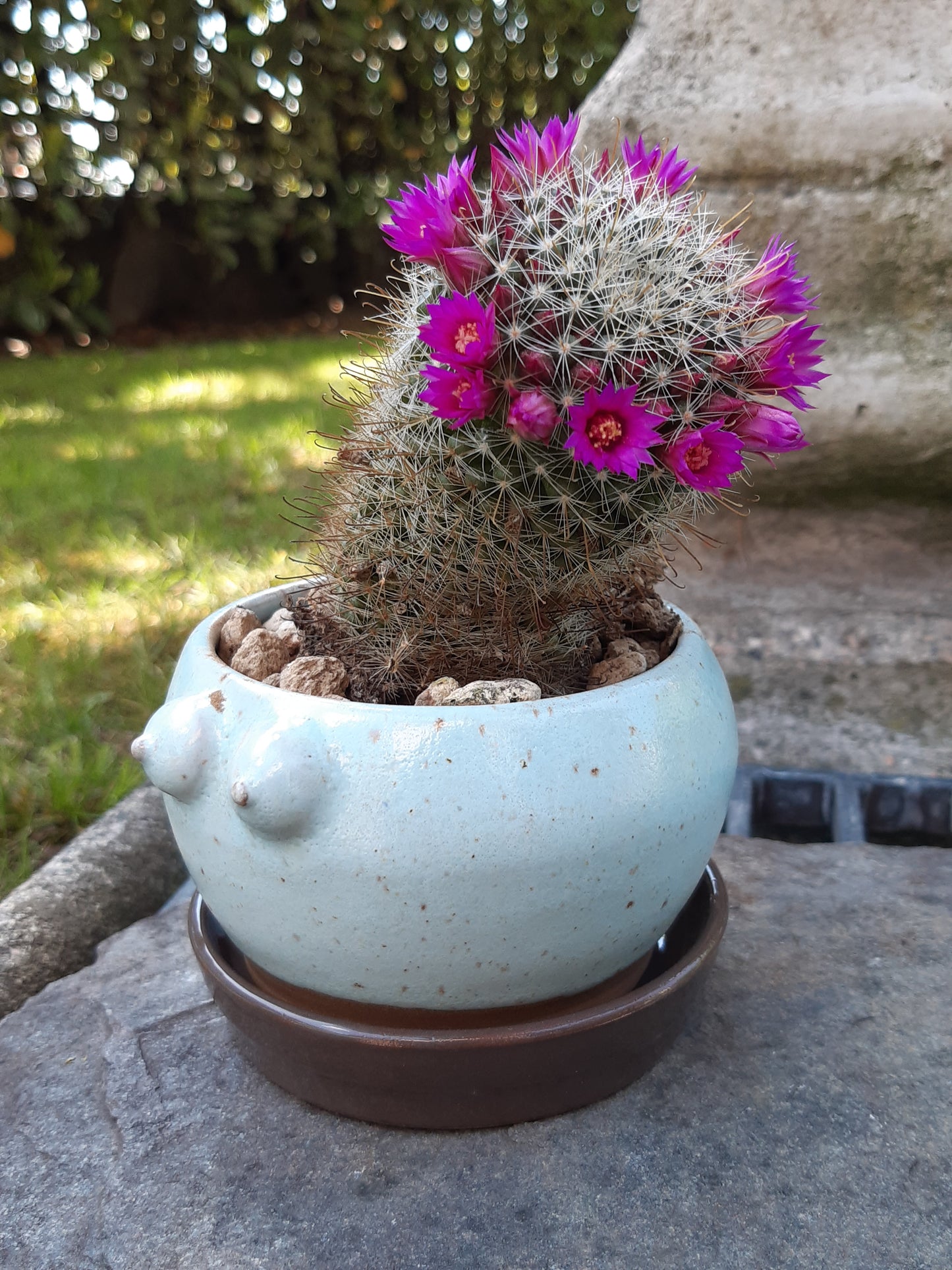 Jar