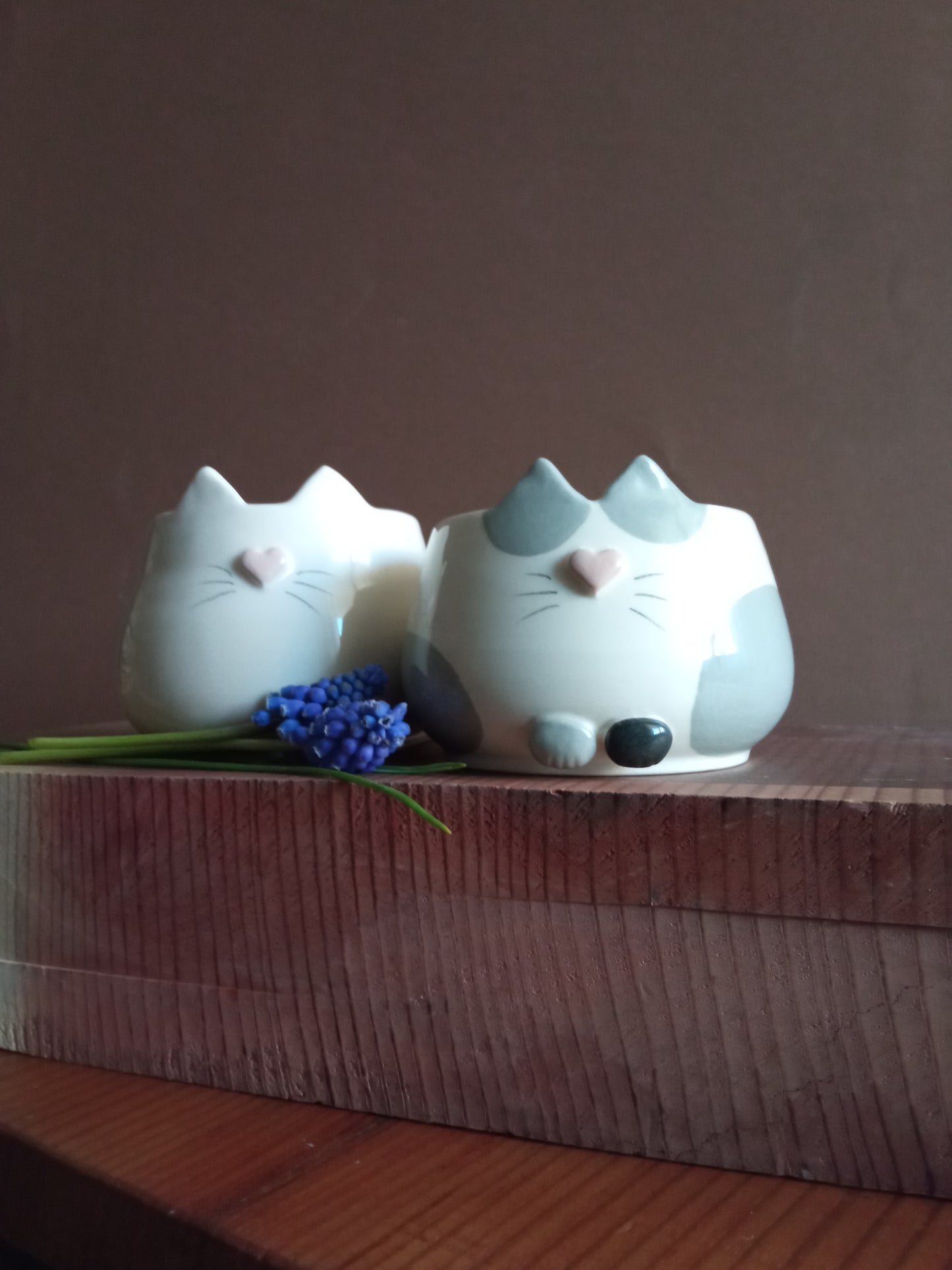 Cat cup