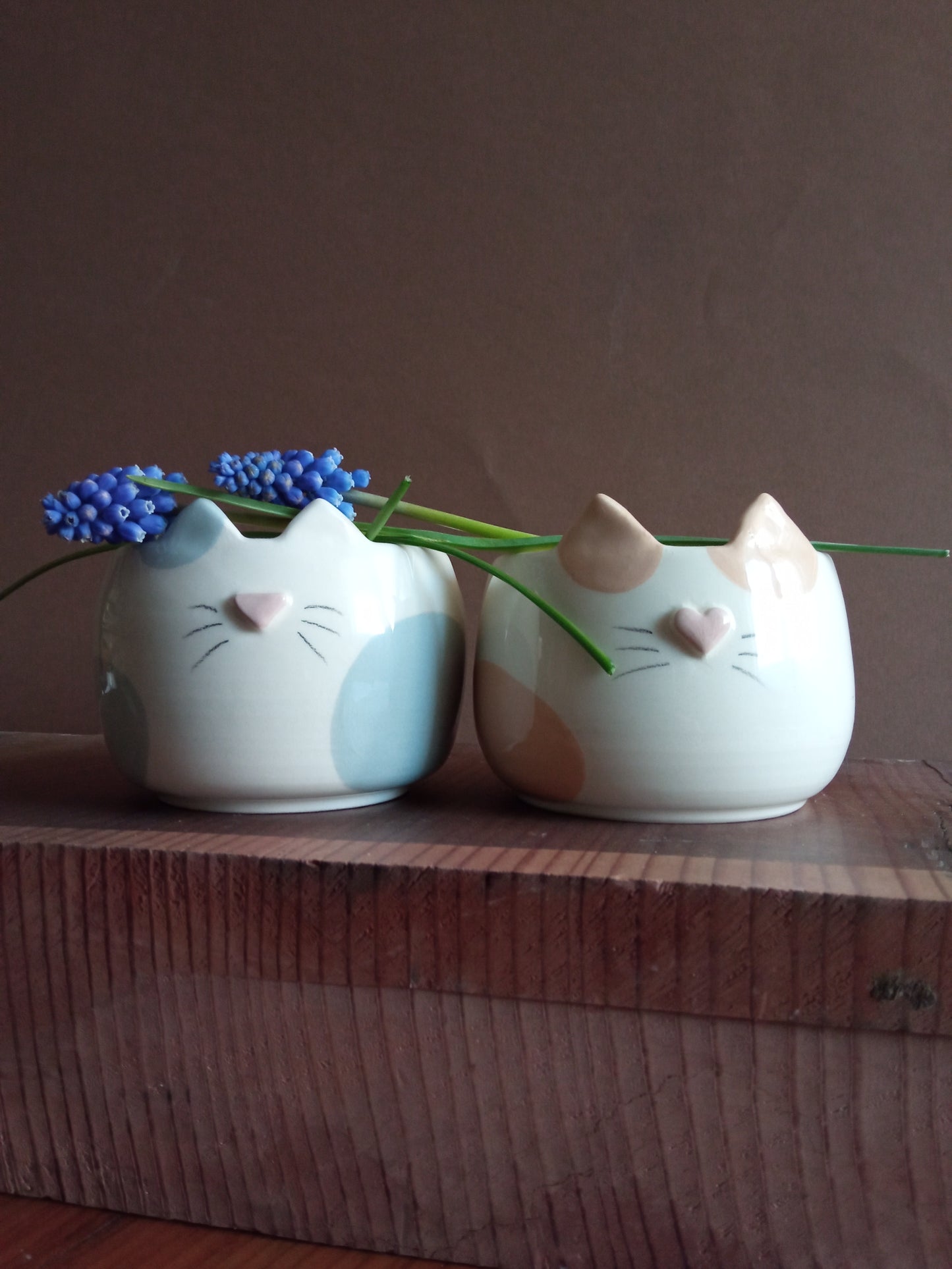 Cat cup