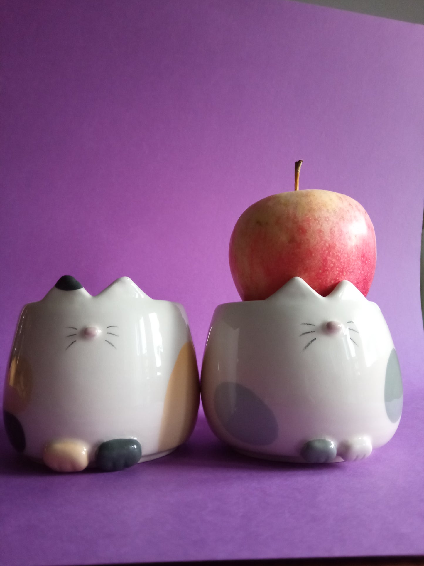 Cat cup